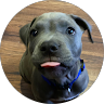 Profile photo of jak cu