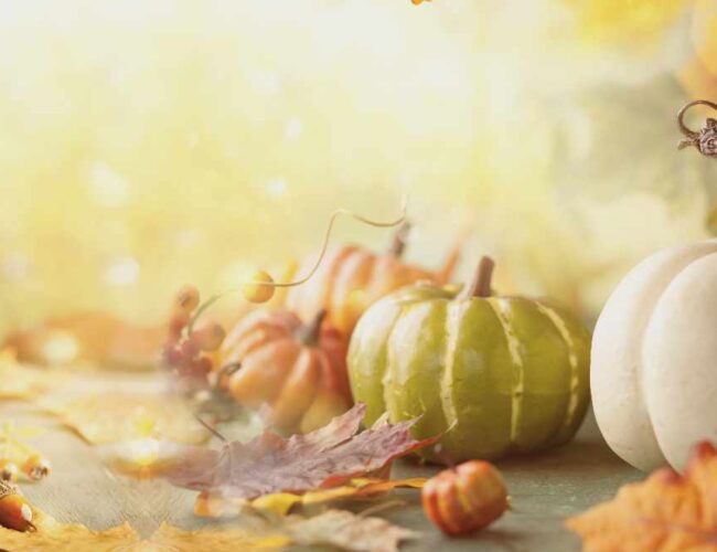 Warm wishes for a Happy Thanksgiving!